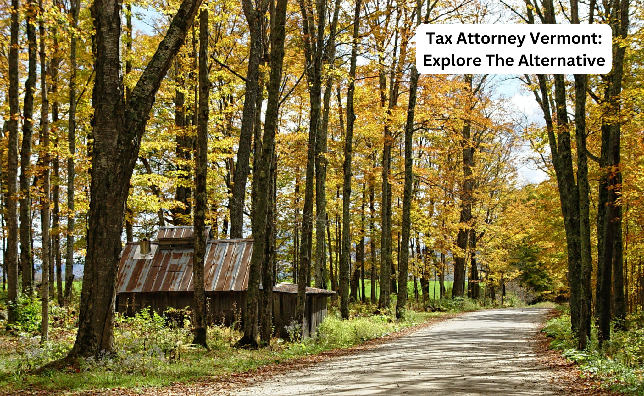 Tax Attorney Vermont: Explore The Alternative